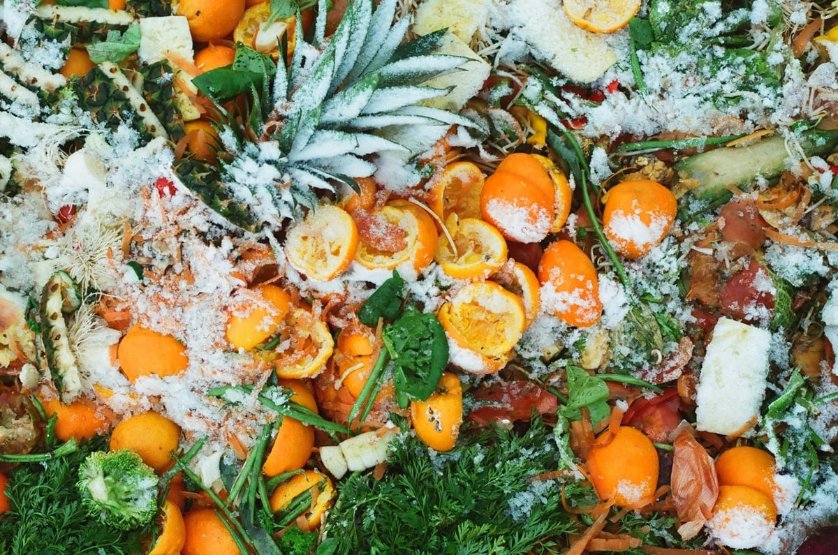 Discarded fruit and vegetable scraps including citrus peel and pineapple tops