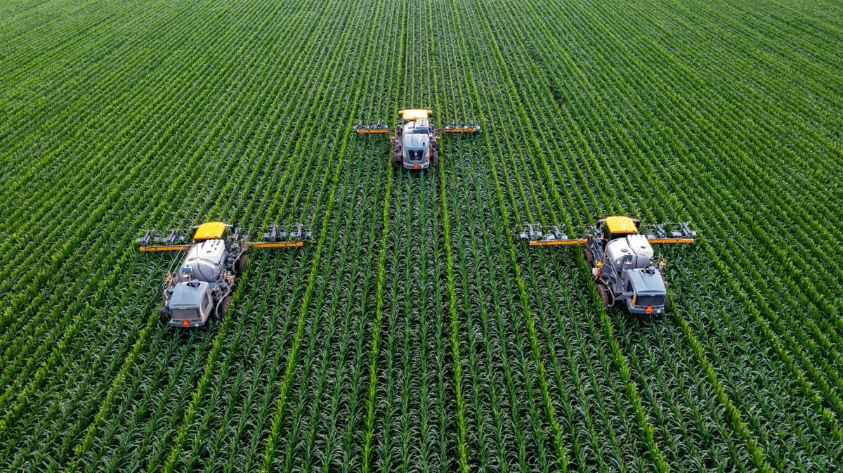 Three agricultural machines among long rows of green crops